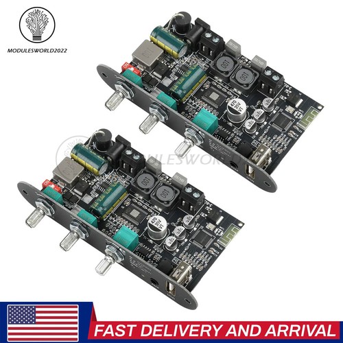 2pcs 1001u 100w - 100w, mono
